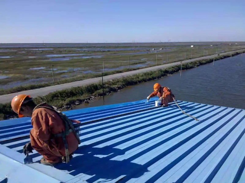 将乐钢结构屋面漏水原因